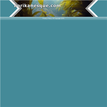 3b9826ed9b9acc5ea30133671574936d_www.norikanesque.com.png