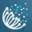 image.webp