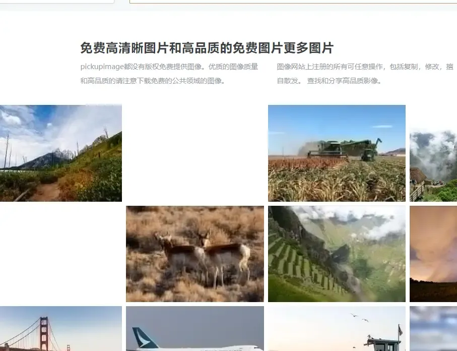 image.webp