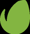 Envato Elements