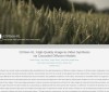 I2VGen-XL：阿里推出的图生视频模型