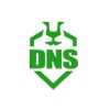dns盾